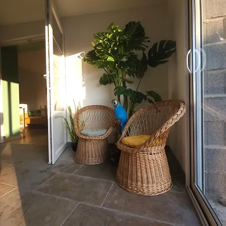 Bed & Breakfast Les De Justine L'ecrin Tropical